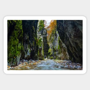 River in limestone canyon Sticker